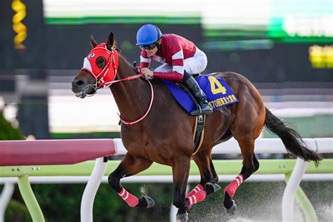 Horse Racing Information(JRA) .